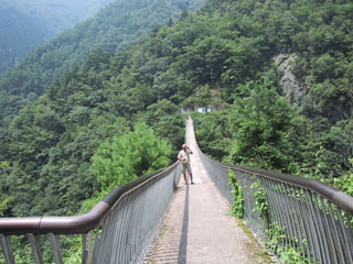 ݂苴nĂƌ